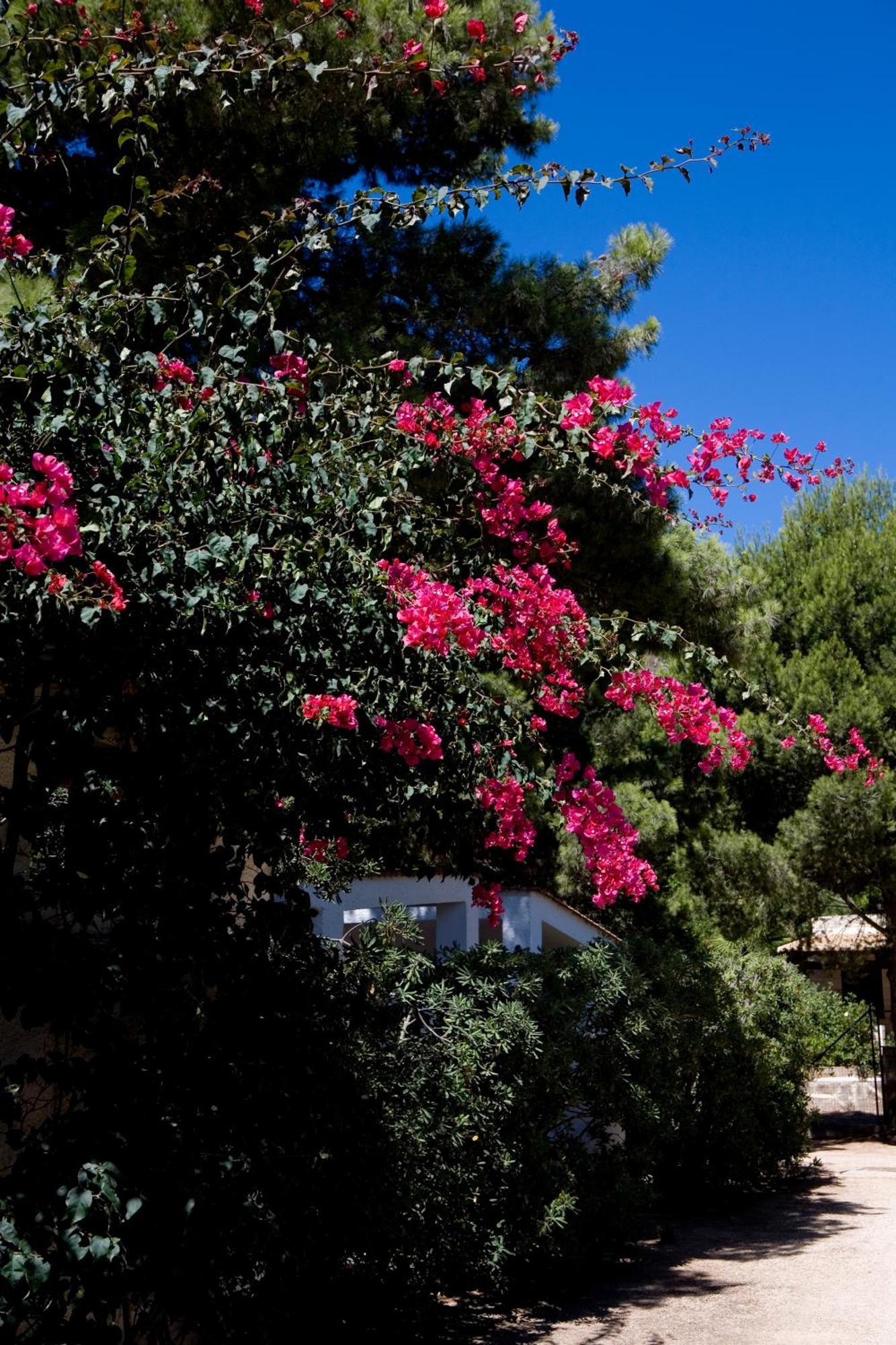 فافينانا Miramare Residence المظهر الخارجي الصورة